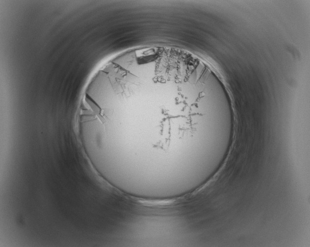 X0000116021296200912312145