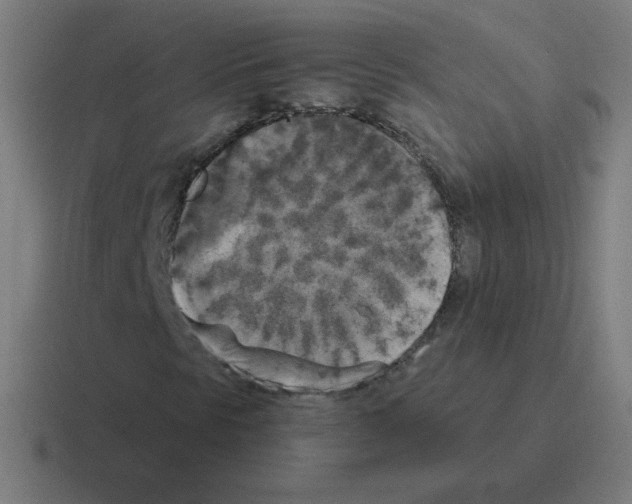 X0000116021297200912312145