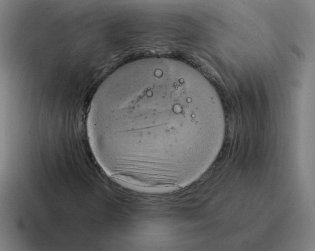 X0000116021298200912312145