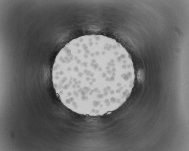 X0000116021299200912312145