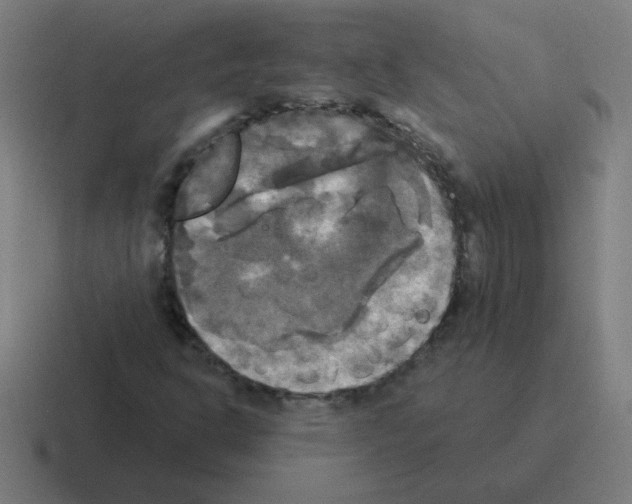 X0000116021302200912312145