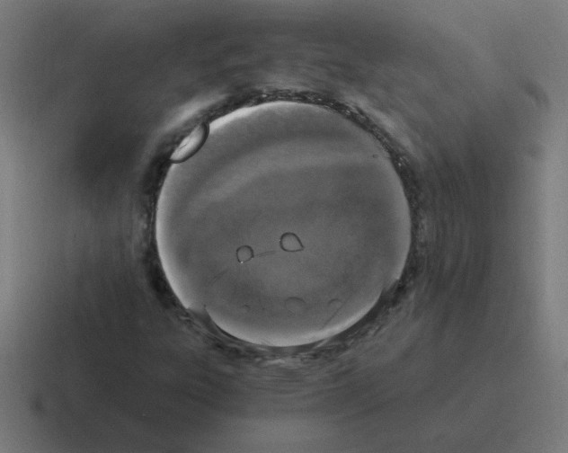 X0000116021303200912312145