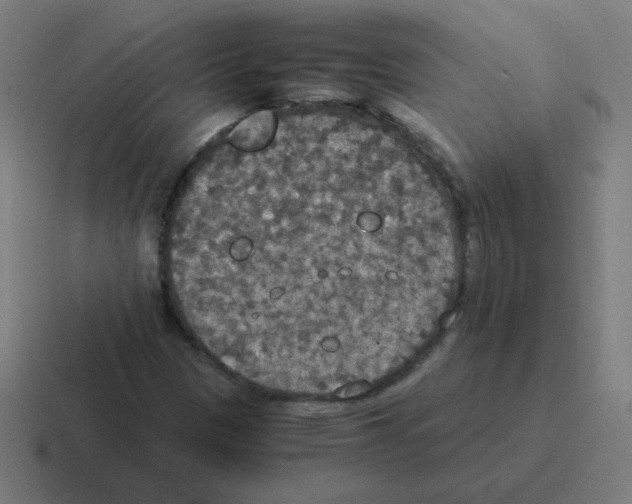 X0000116021305200912312145