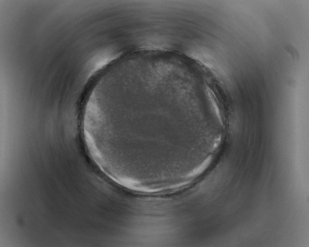 X0000116021306200912312145