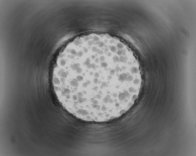 X0000116021307200912312145