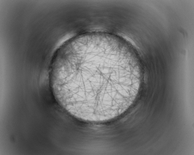 X0000116021309200912312145