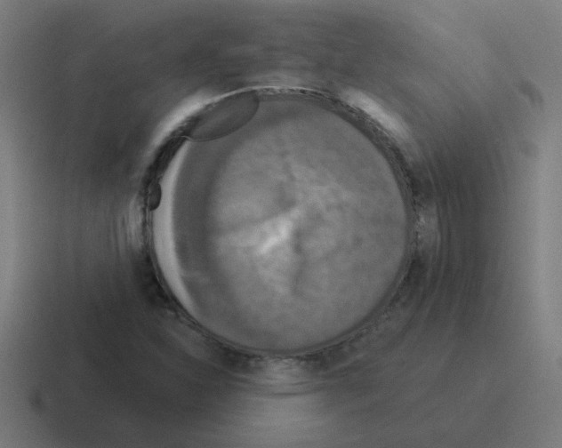 X0000116021310200912312145