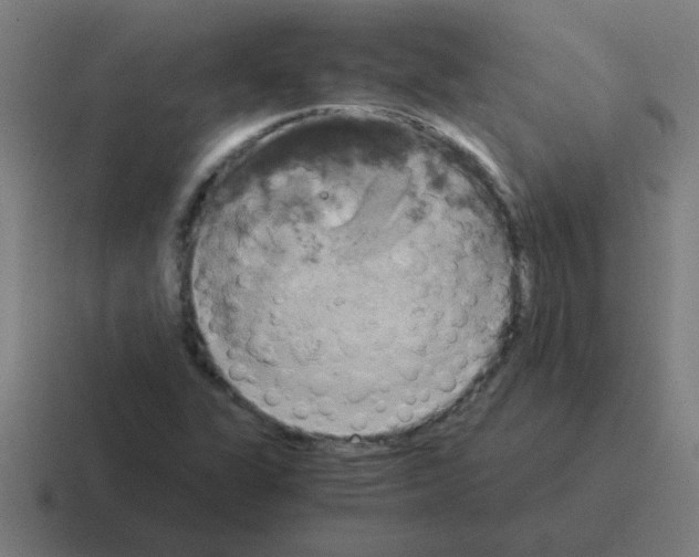 X0000116021311200912312145