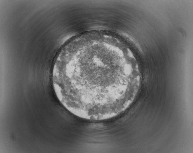 X0000116021313200912312145