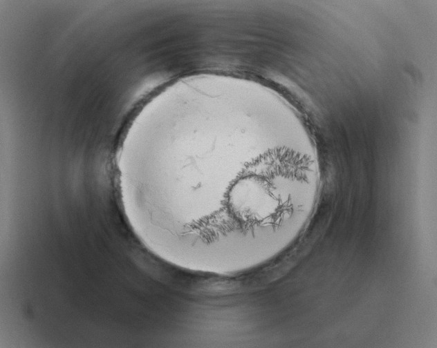 X0000116021314200912312145