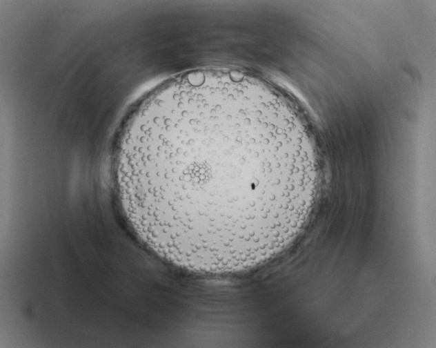 X0000116021315200912312145