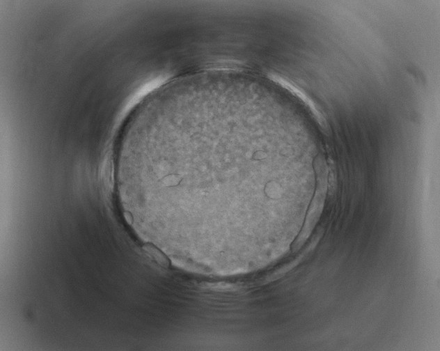 X0000116021317200912312145