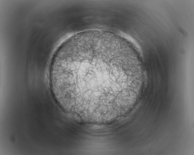 X0000116021318200912312145