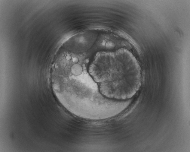 X0000116021321200912312145