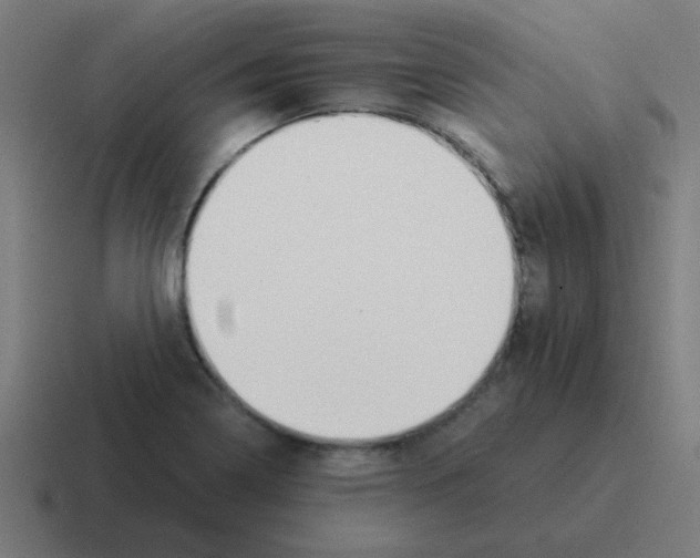 X0000116021322200912312145