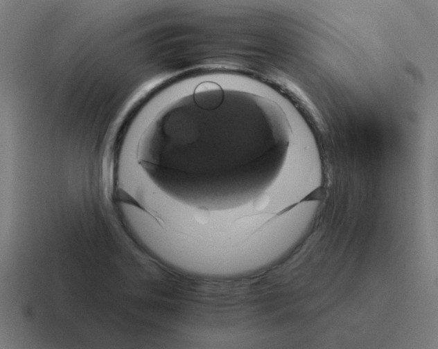 X0000116021323200912312145