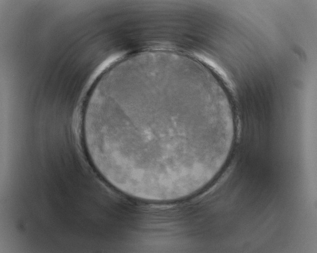 X0000116021325200912312145