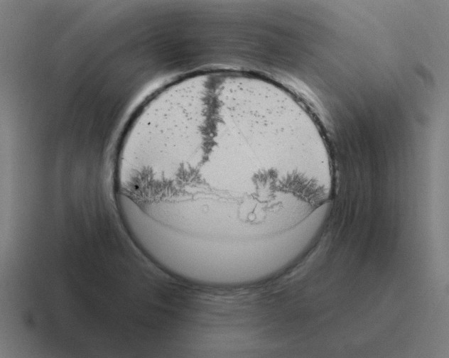 X0000116021326200912312145