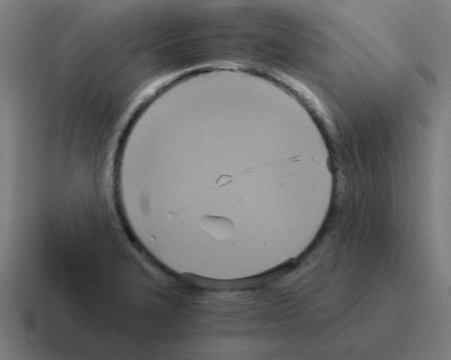 X0000116021327200912312145