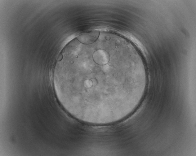 X0000116021329200912312145