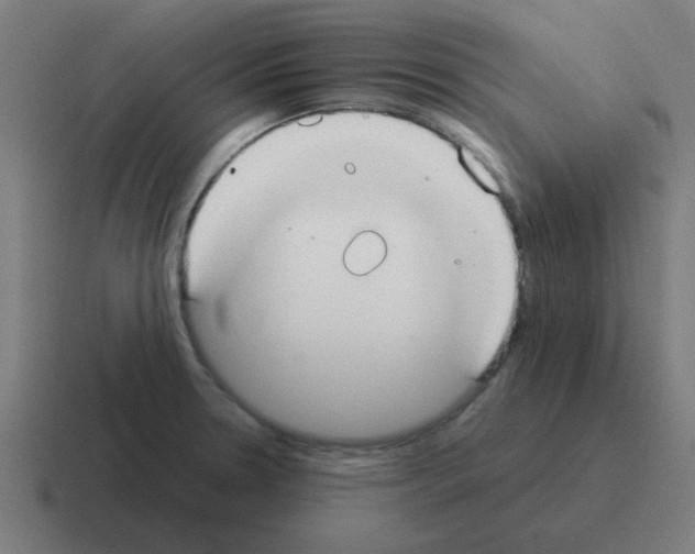 X0000116021330200912312145