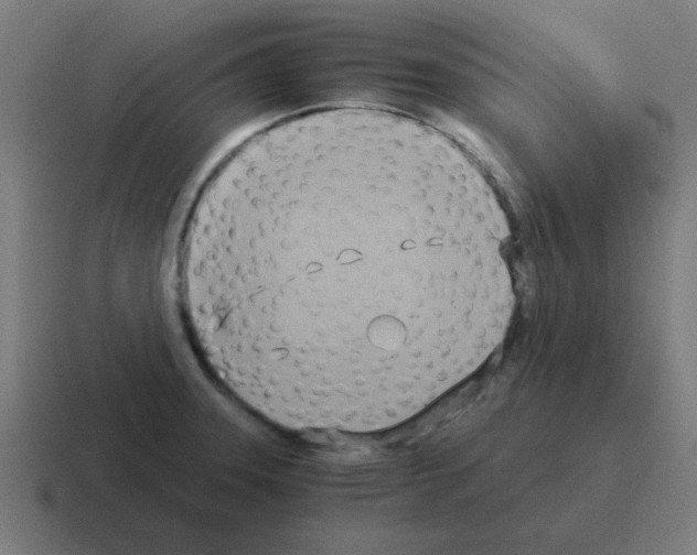 X0000116021331200912312145