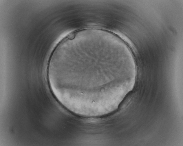 X0000116021333200912312145