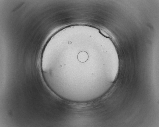 X0000116021334200912312145