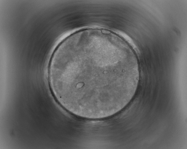 X0000116021335200912312145