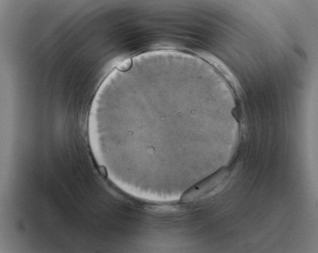 X0000116021337200912312145