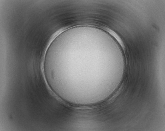 X0000116021338200912312145