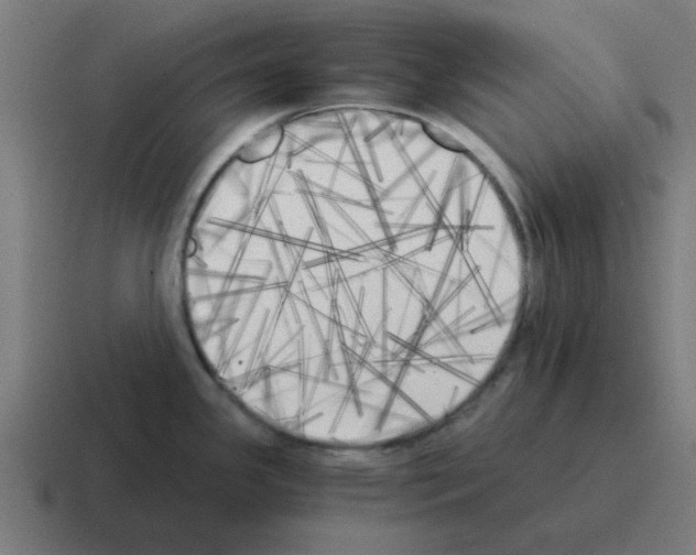 X0000116021341200912312145