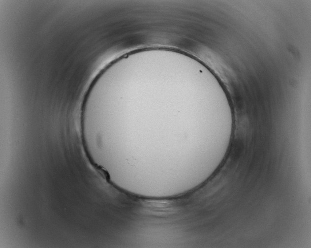 X0000116021342200912312145