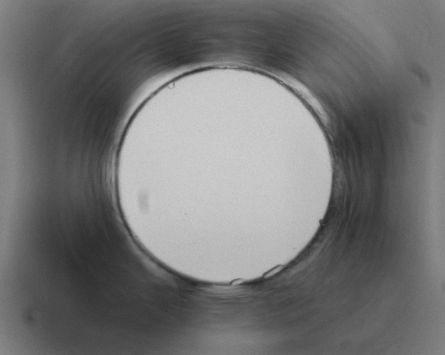 X0000116021343200912312145