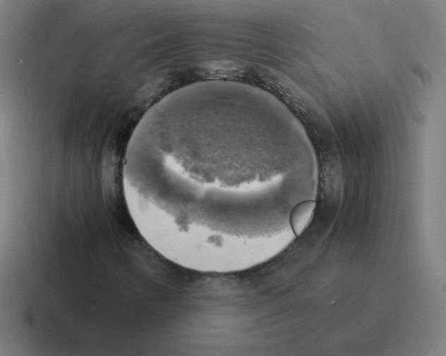 X0000116021346200912312145