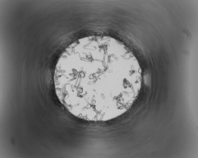 X0000116021347200912312145