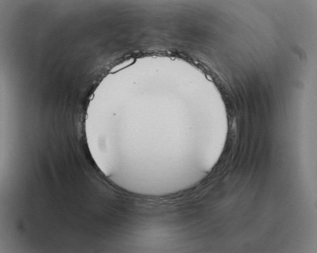 X0000116021348200912312145