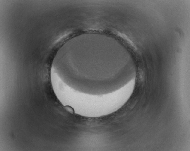 X0000116021350200912312145