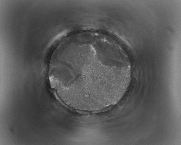 X0000116021351200912312145