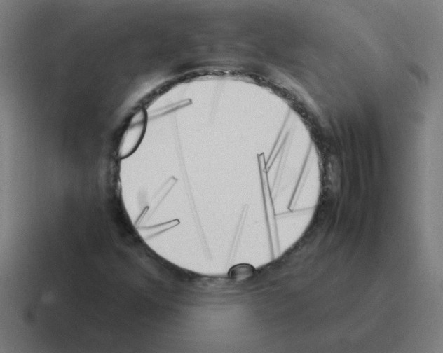 X0000116021352200912312145