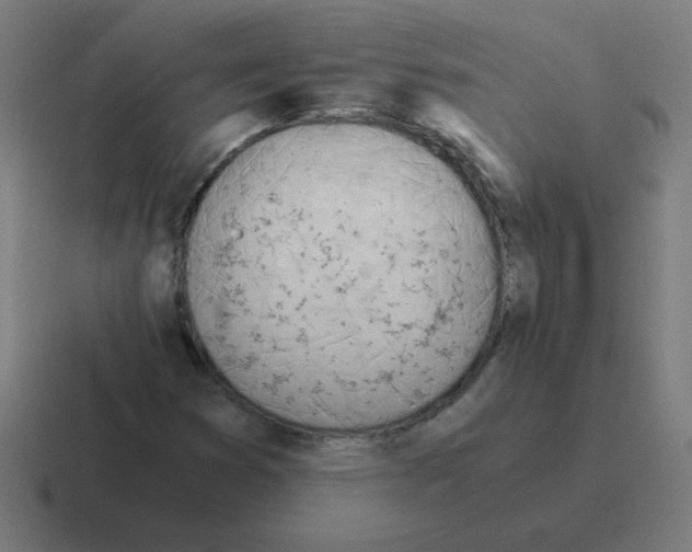 X0000116021353200912312145