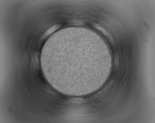 X0000116021354200912312145