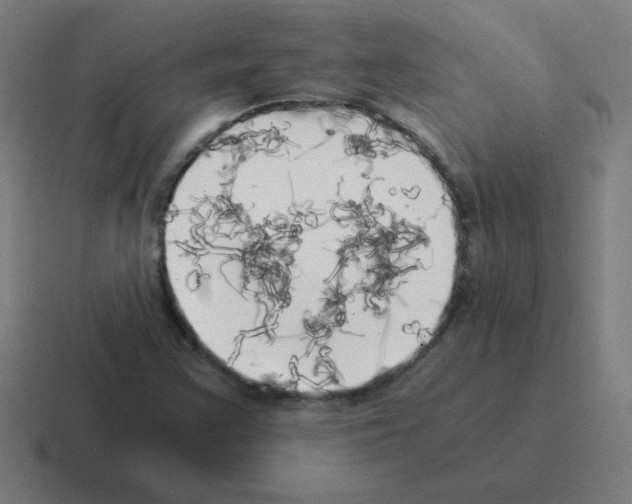 X0000116021355200912312145