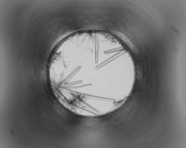 X0000116021356200912312145