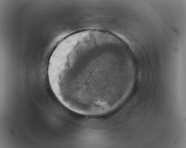 X0000116021359200912312145