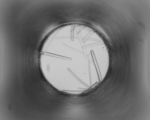 X0000116021360200912312145