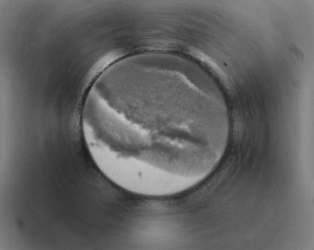 X0000116021362200912312145