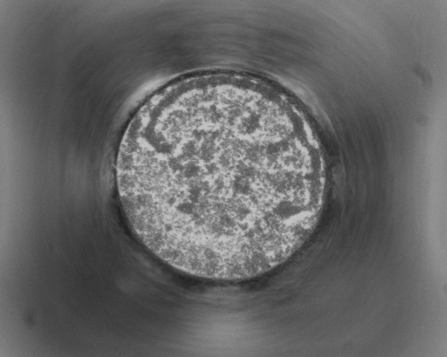 X0000116021363200912312145