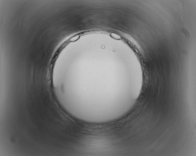 X0000116021364200912312145