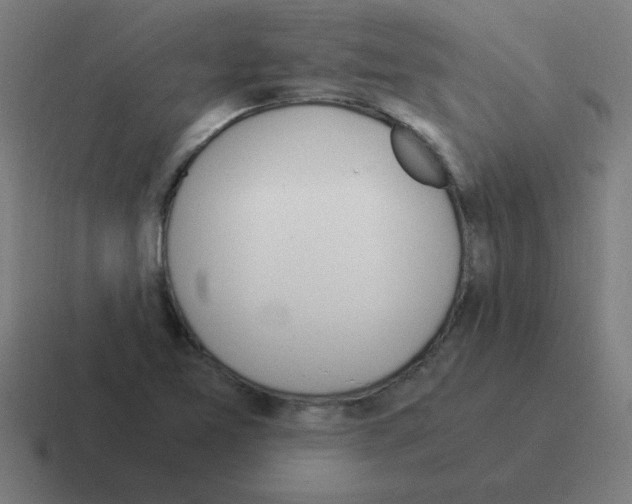 X0000116021365200912312145